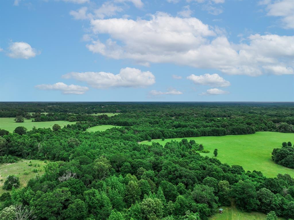 3732 Us Hwy 84 Property Photo 15