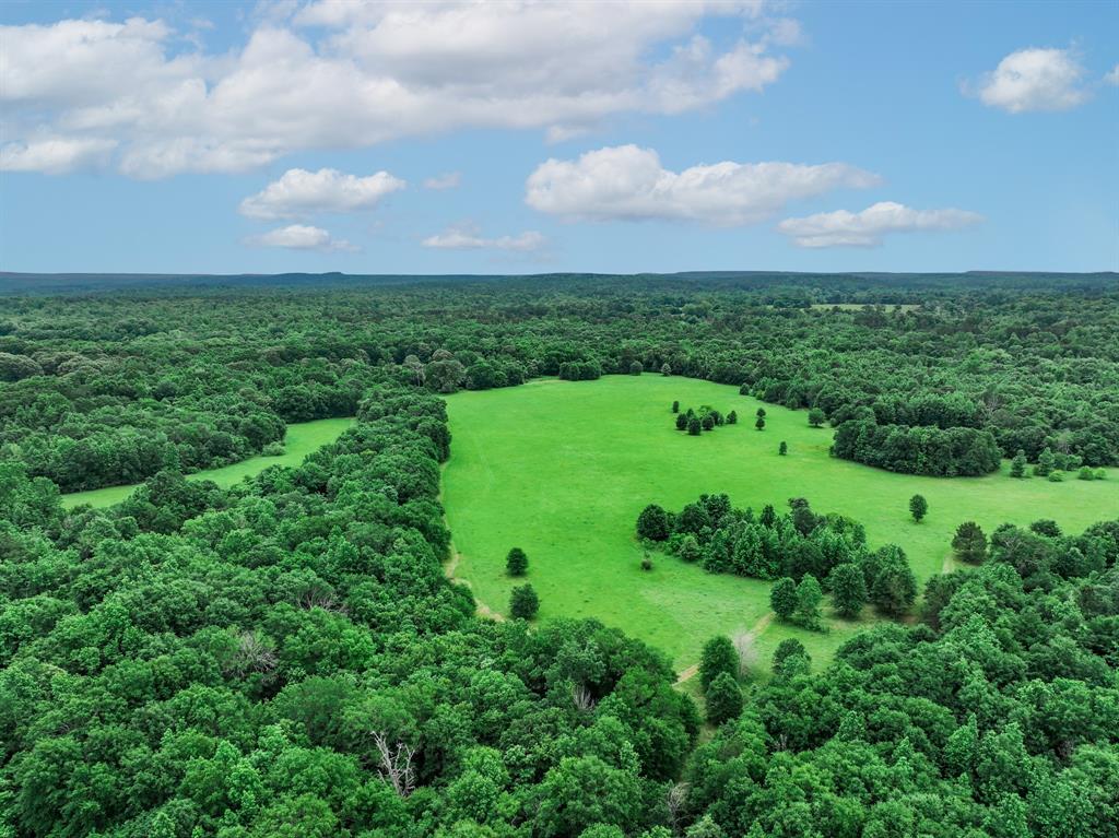 3732 Us Hwy 84 Property Photo 16