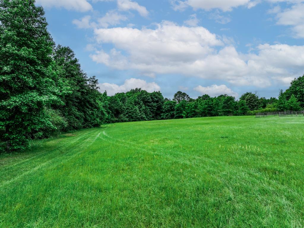 3732 Us Hwy 84 Property Photo 17