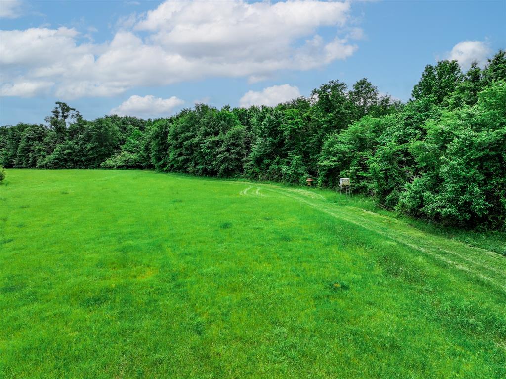 3732 Us Hwy 84 Property Photo 19