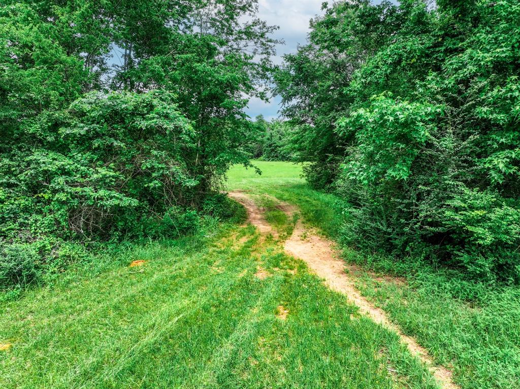 3732 Us Hwy 84 Property Photo 20