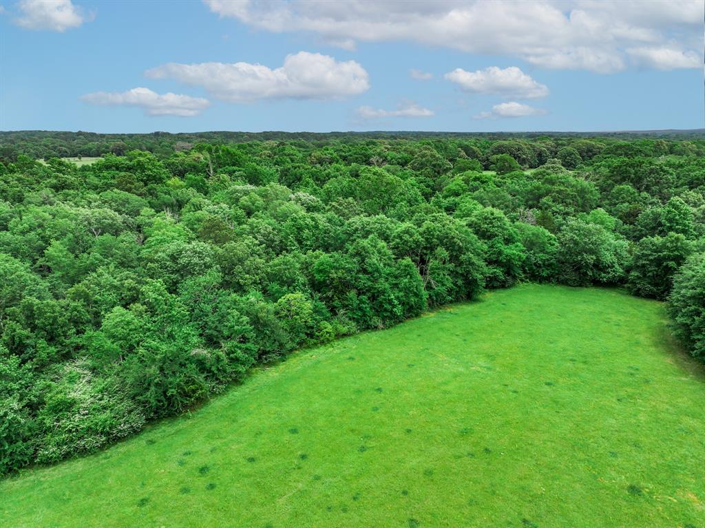 3732 Us Hwy 84 Property Photo 21