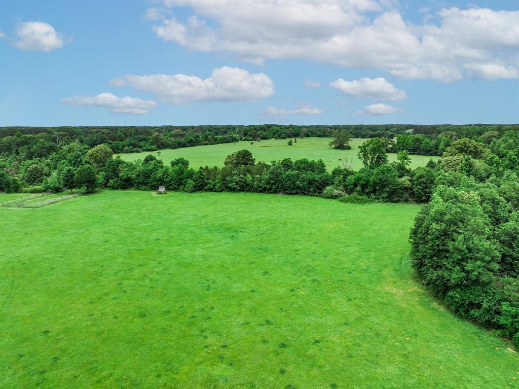 3732 Us Hwy 84 Property Photo 22