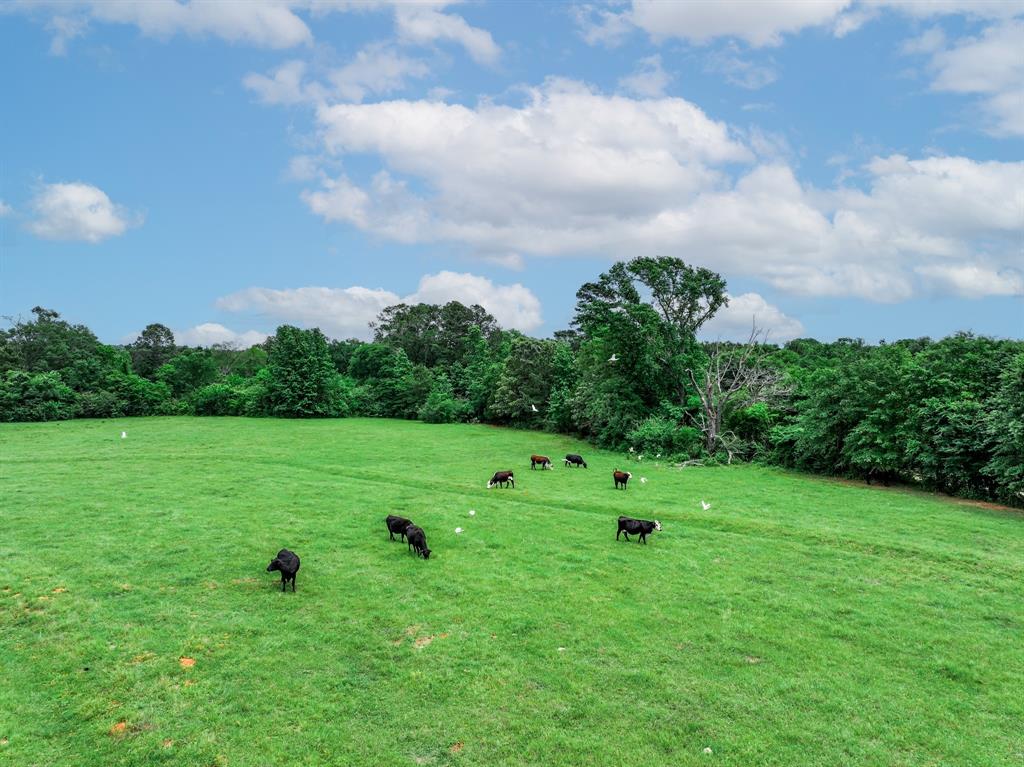 3732 Us Hwy 84 Property Photo 25