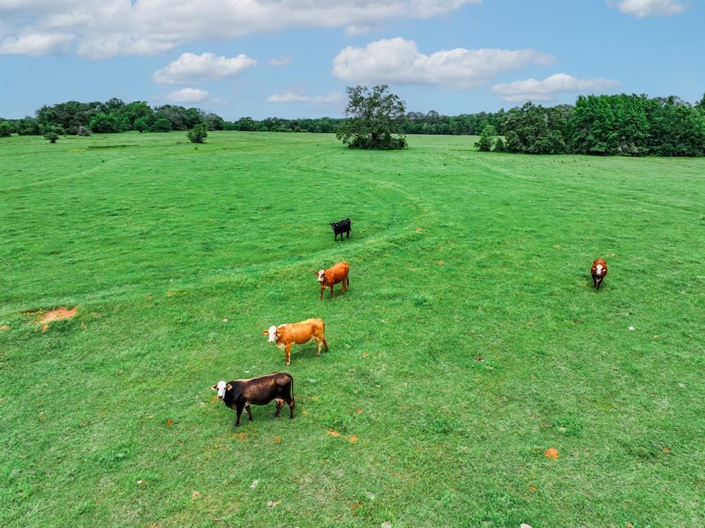 3732 Us Hwy 84 Property Photo 26