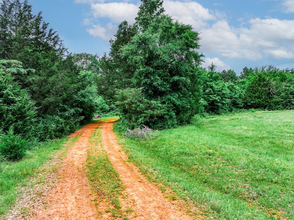 3732 Us Hwy 84 Property Photo 27