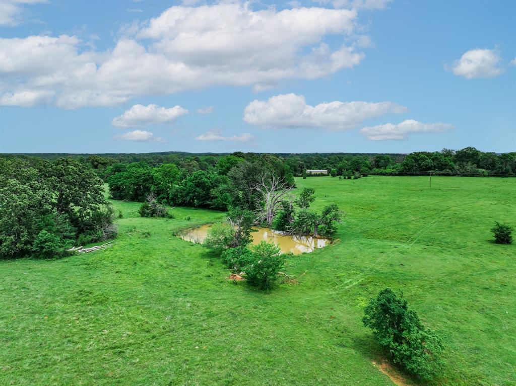 3732 Us Hwy 84 Property Photo 33