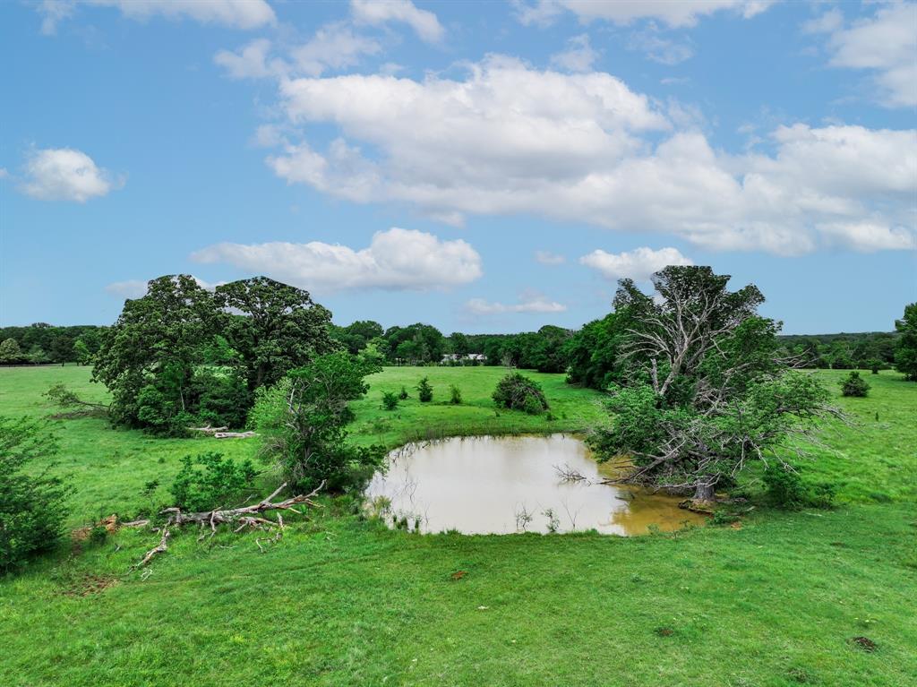 3732 Us Hwy 84 Property Photo 34