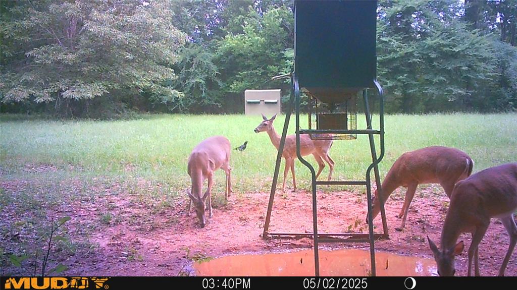 3732 Us Hwy 84 Property Photo 38