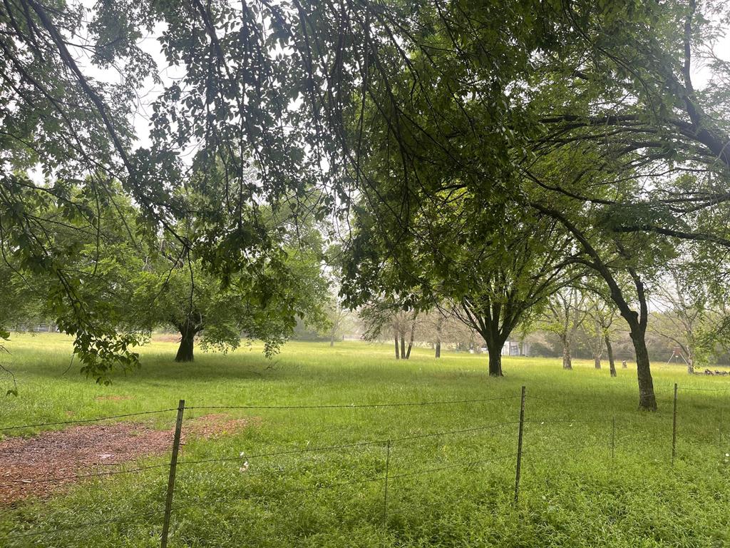 Tbd Pecan Street Property Photo