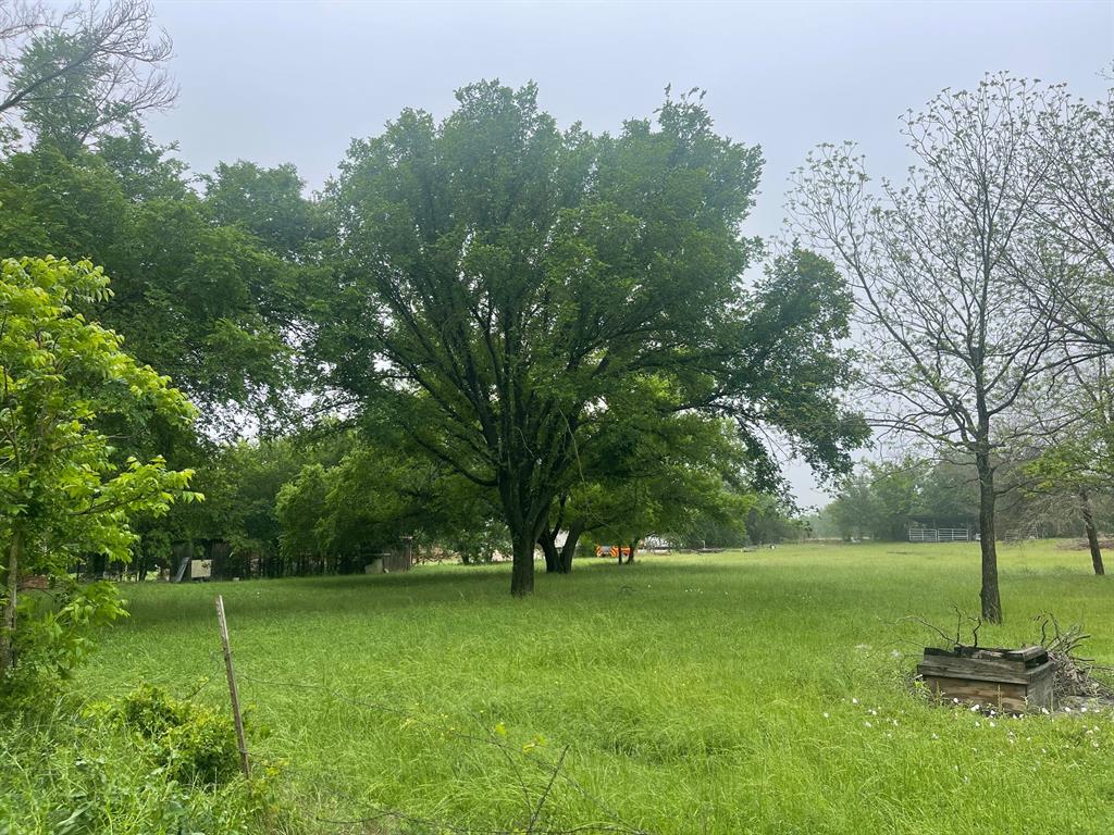 Tbd Pecan Street Property Photo 2