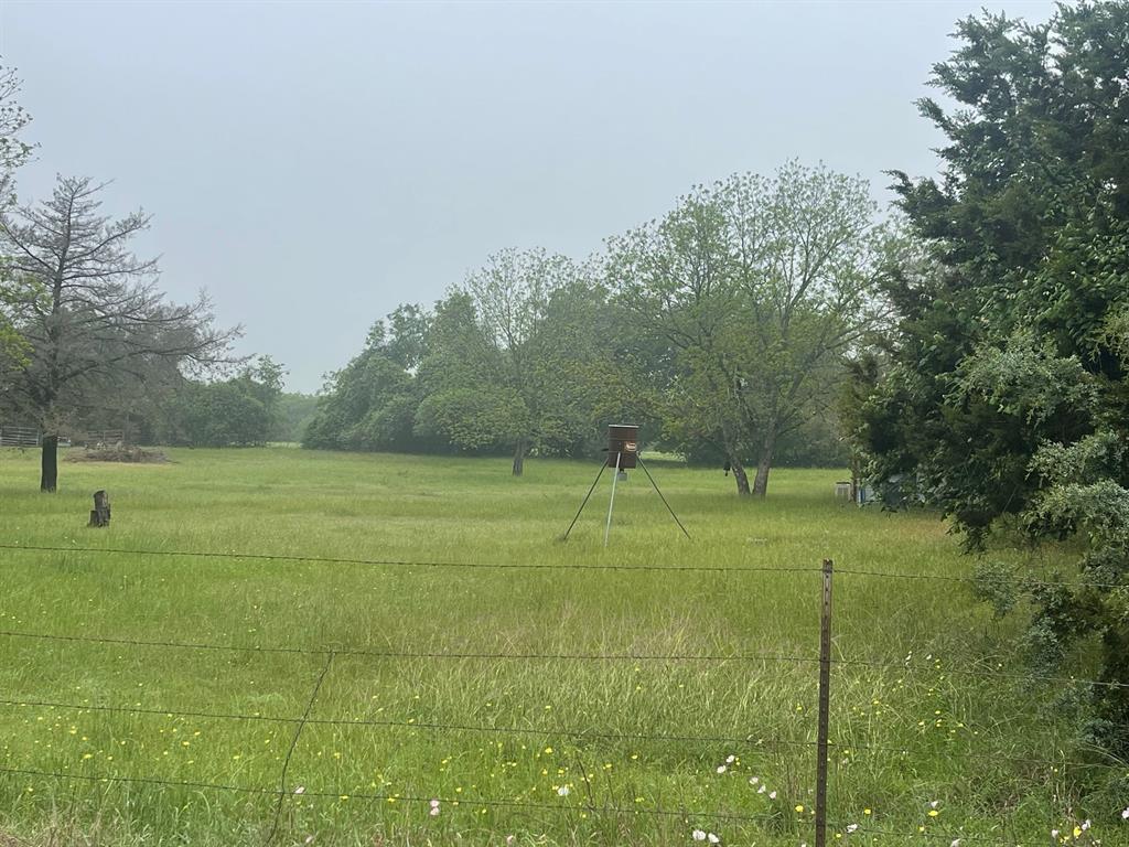 Tbd Pecan Street Property Photo 3