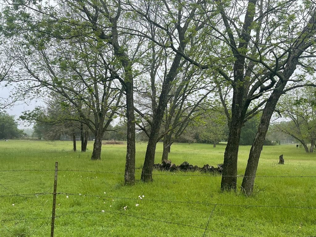 Tbd Pecan Street Property Photo 4