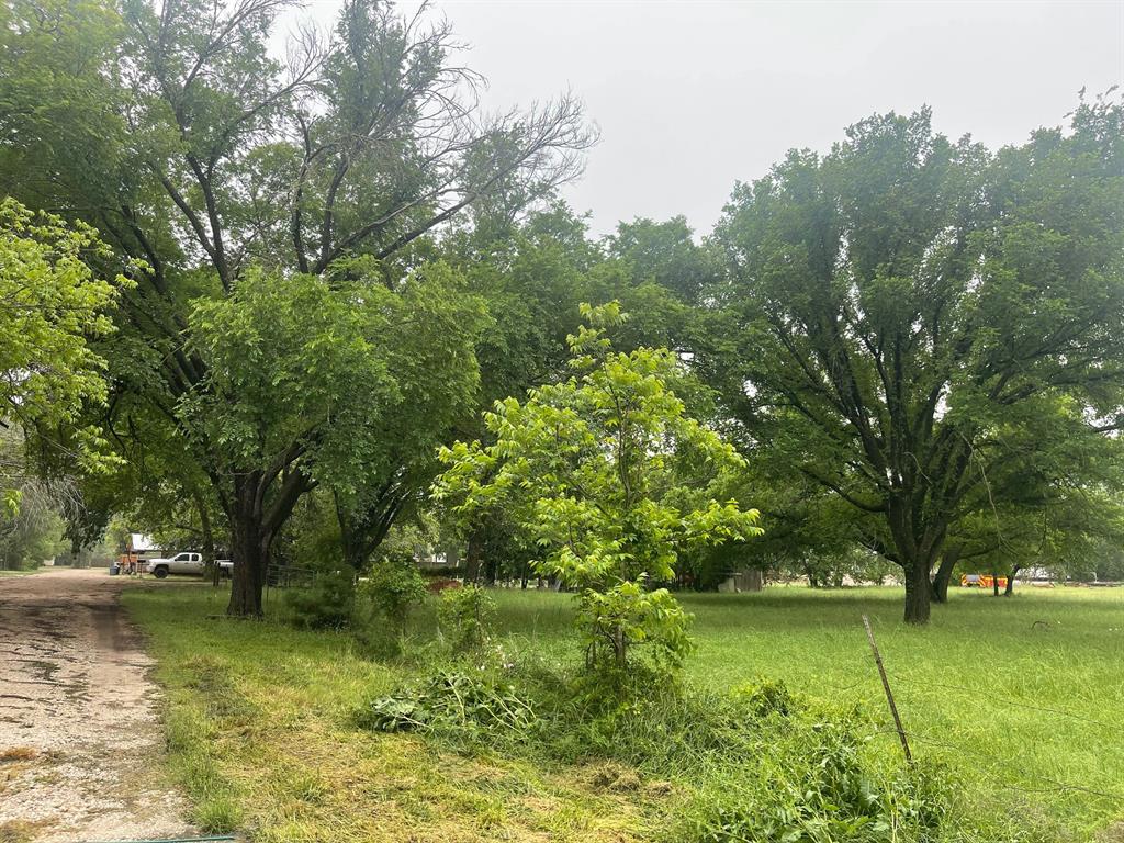 Tbd Pecan Street Property Photo 5