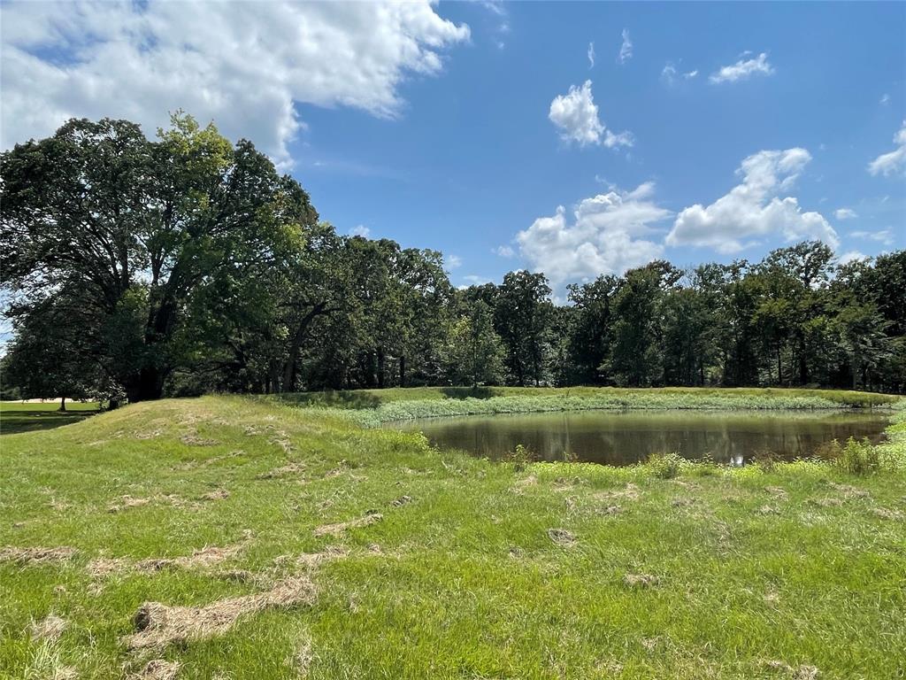Lot 4 Rains Co Rd 2420 Property Photo