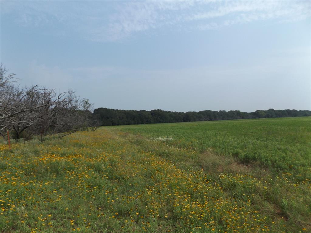 W. 23 Hoffman Road Property Photo 6