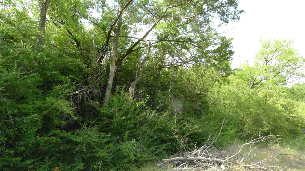 4335 Memory Lane Boulevard Property Photo 5