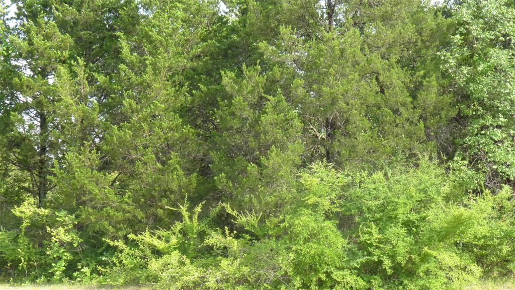 4335 Memory Lane Boulevard Property Photo 7