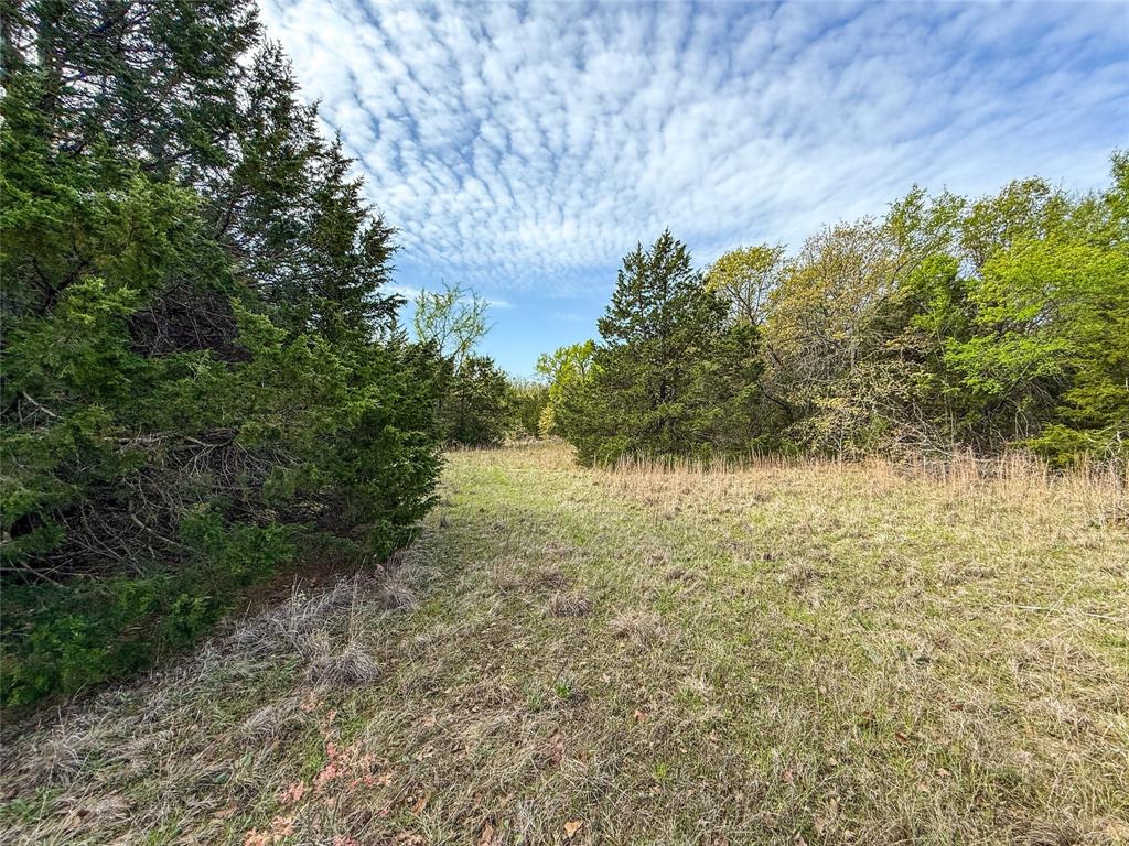 00 Mcmillan Rd Property Photo 20