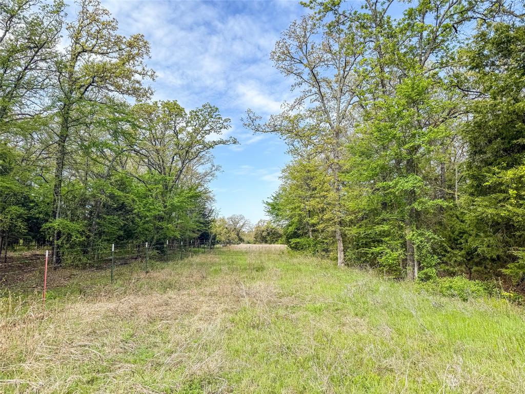 00 Mcmillan Rd Property Photo 24
