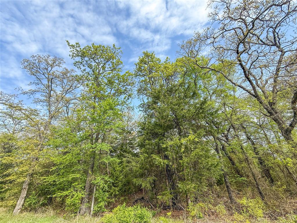 00 Mcmillan Rd Property Photo 25