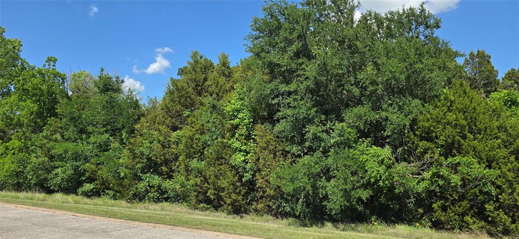 7721 Prestwick Drive Property Photo 3