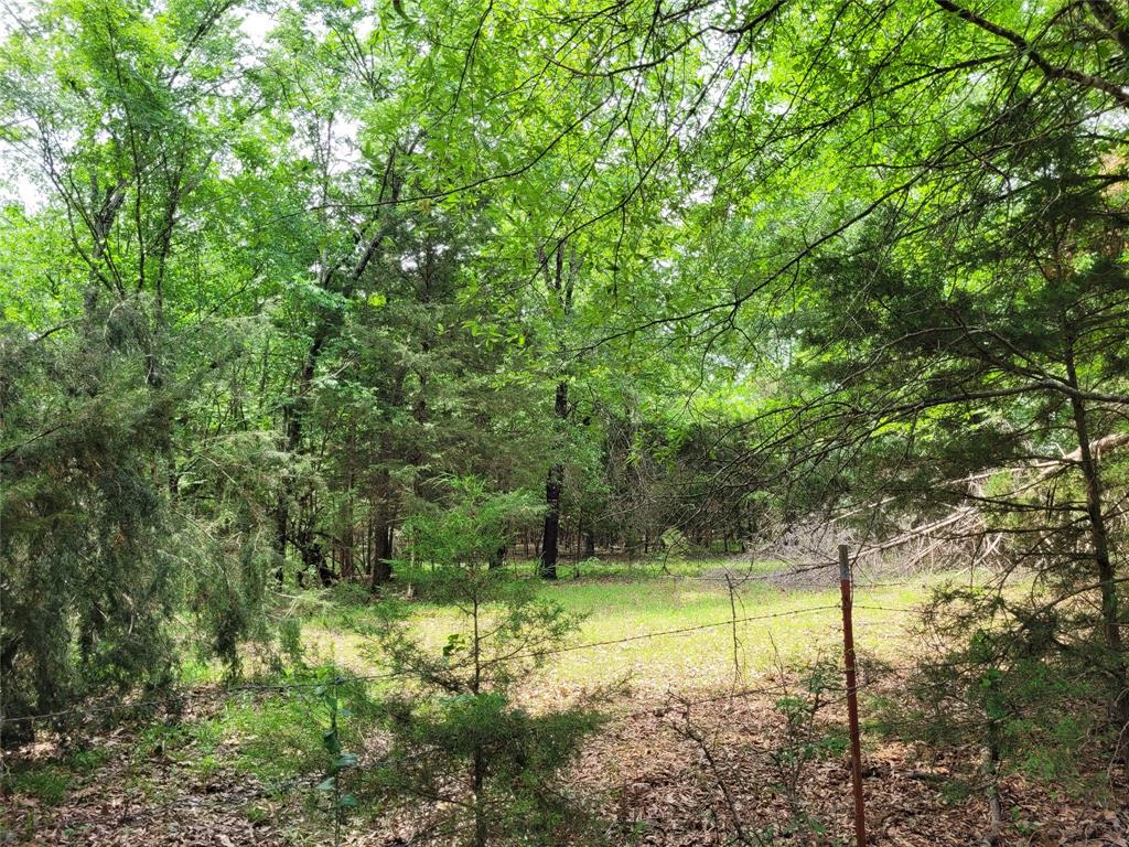 Tbd Cr 3145 Property Photo