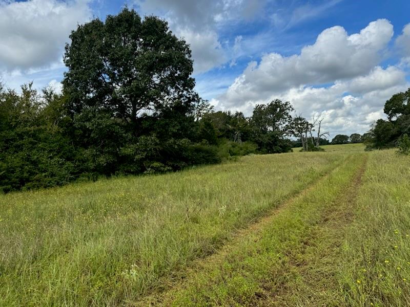 000 Highway 75 North Property Photo