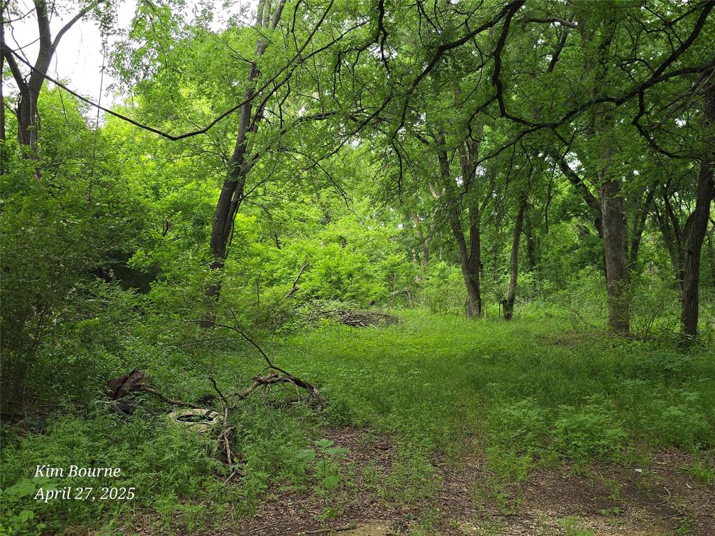 187 Quail Haven Street Property Photo 2