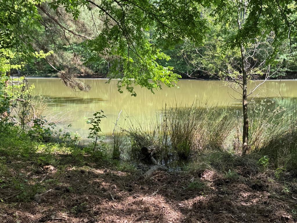 16649 County Road 4252d Property Photo 1