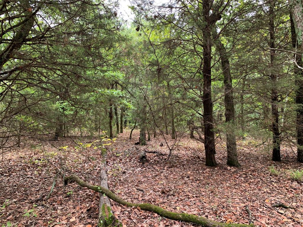 Tbd Cr 1503 Property Photo 10