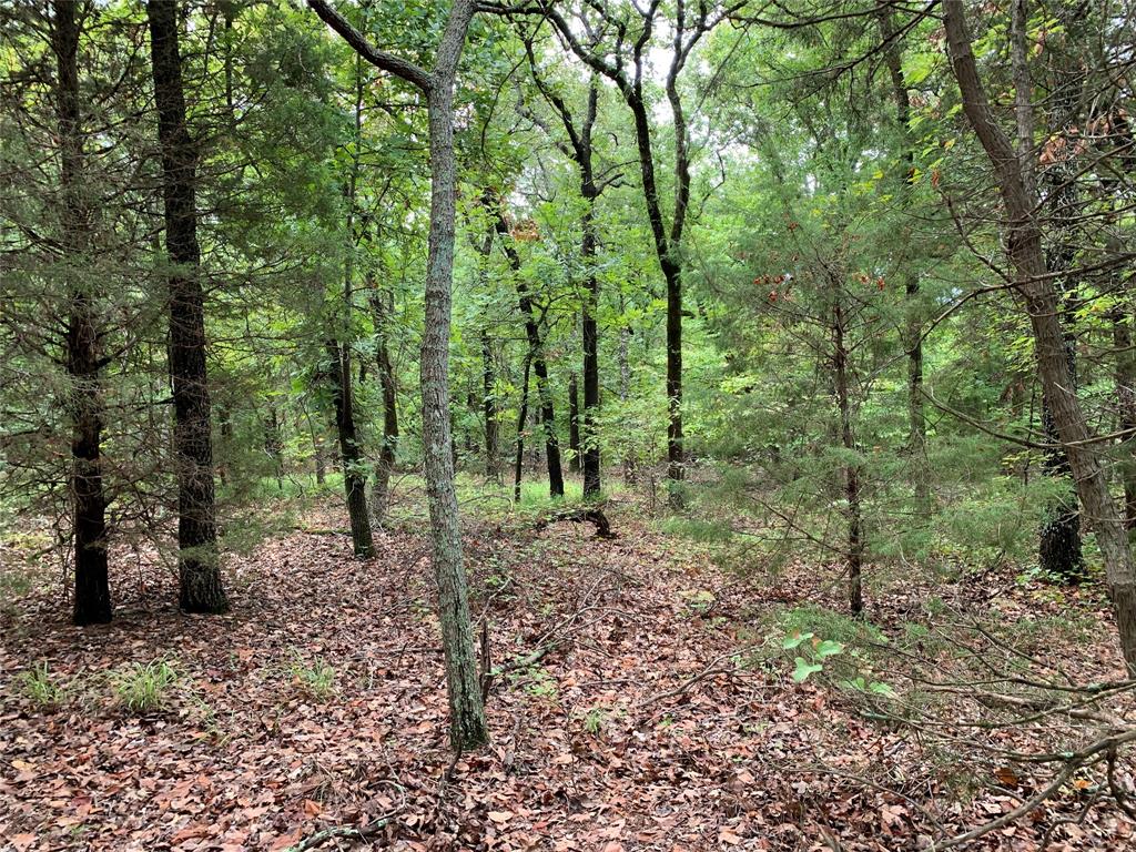 Tbd Cr 1503 Property Photo 11