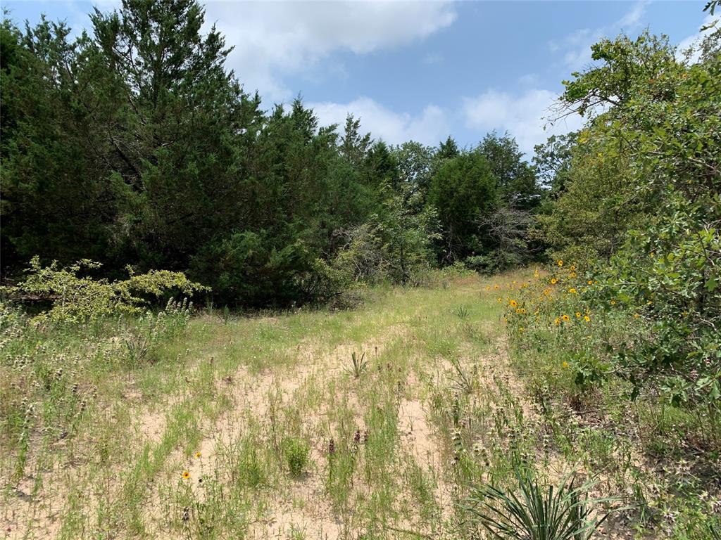 Tbd Fm 2494 Property Photo 1