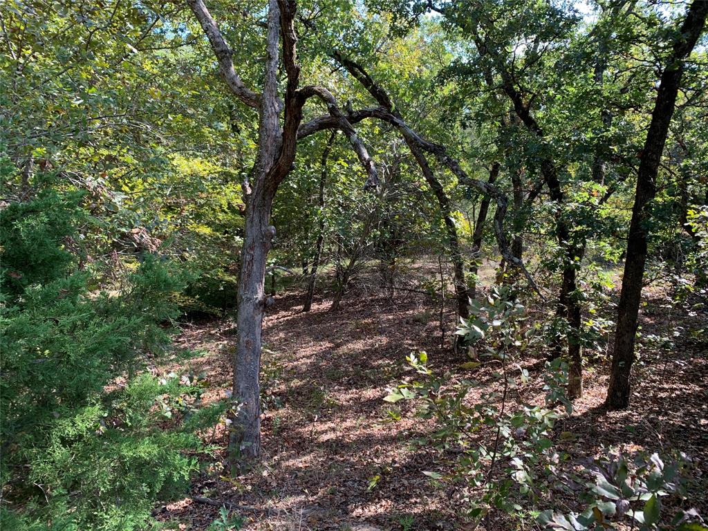 Tbd Hills Drive Property Photo 13