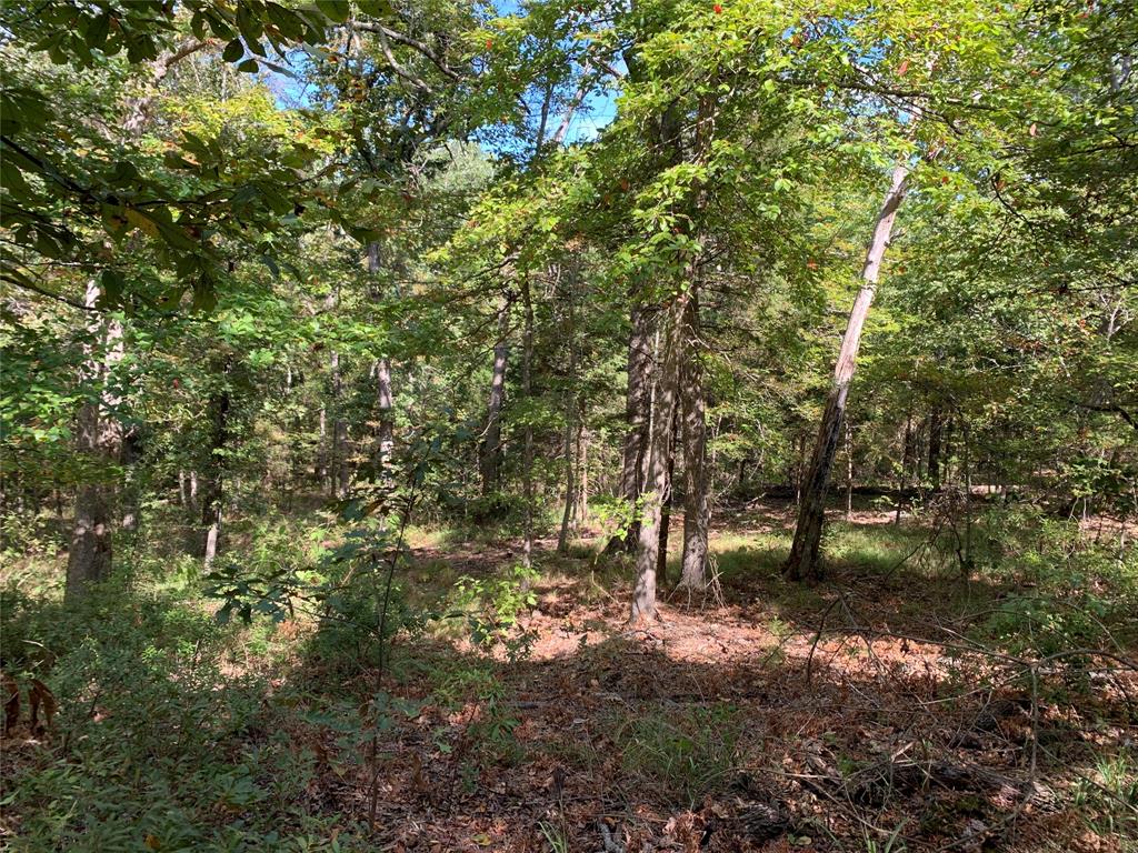 Tbd Hills Drive Property Photo 14