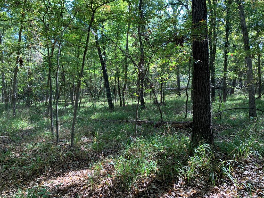 Tbd Hills Drive Property Photo 15