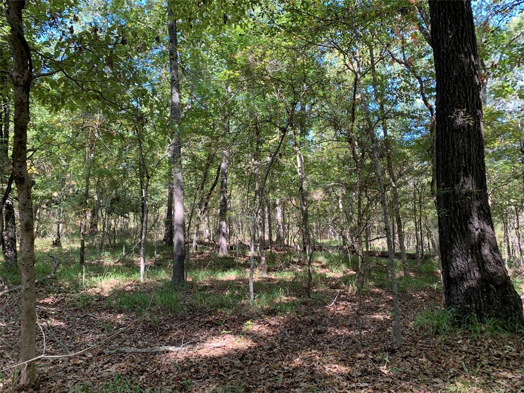 Tbd Hills Drive Property Photo 16