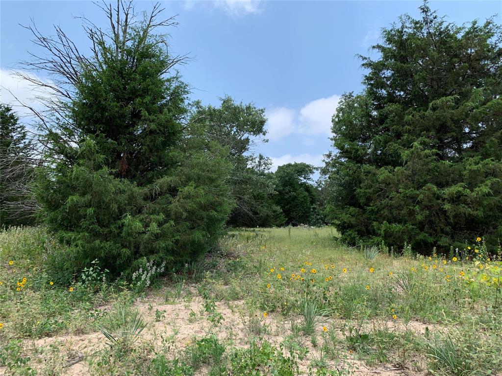 Tbd Hills Drive Property Photo 17