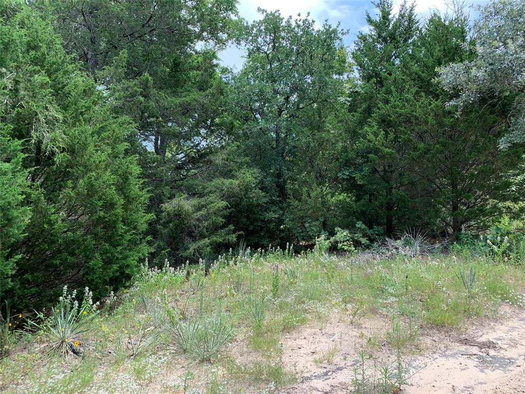 Tbd Hills Drive Property Photo 18