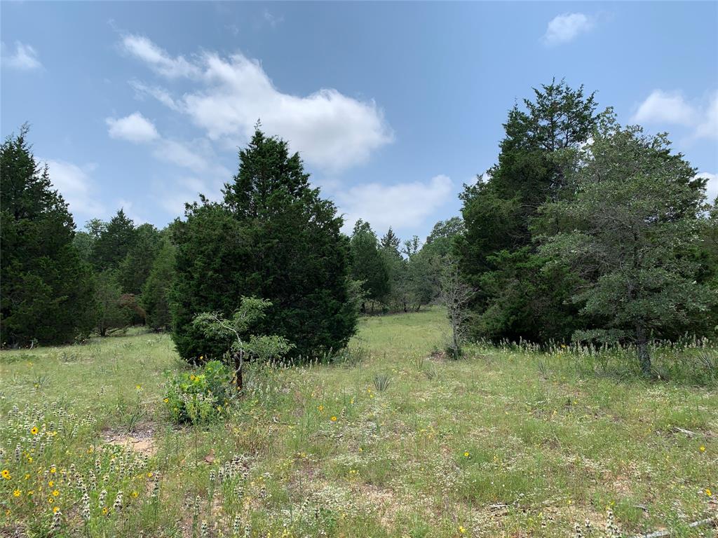 Tbd Hills Drive Property Photo 19