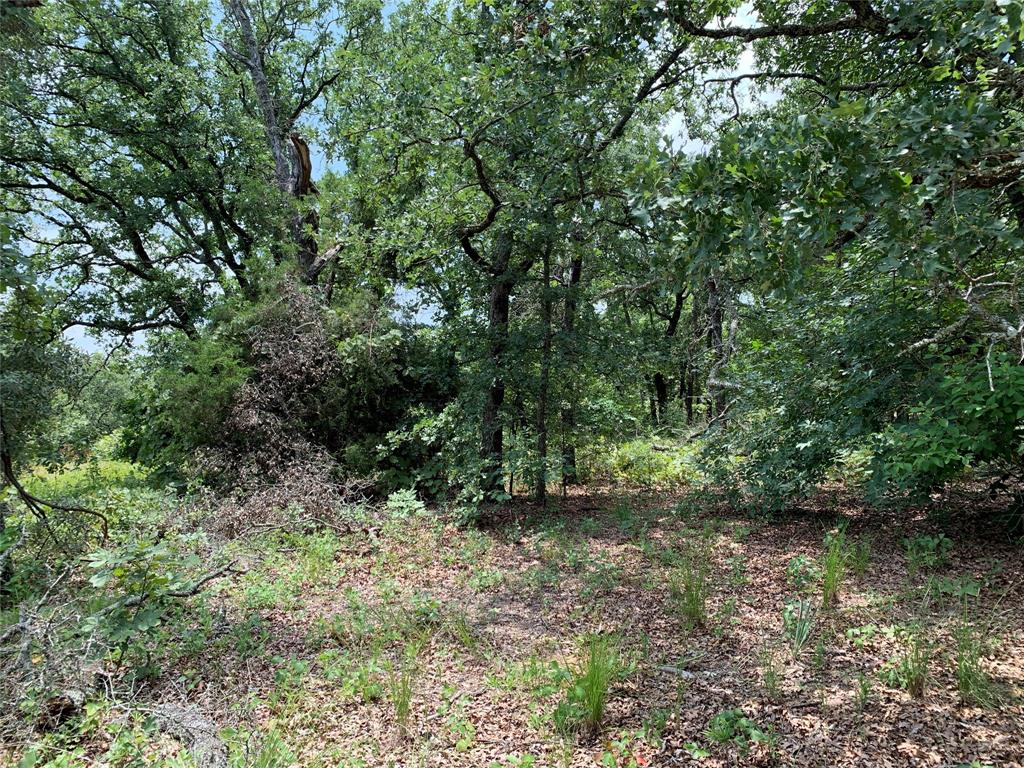 Tbd Hills Drive Property Photo 20