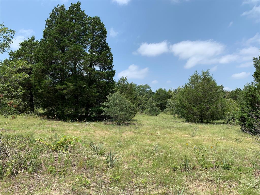 Tbd Hills Drive Property Photo 21