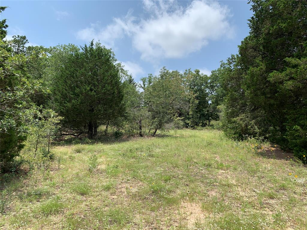 Tbd Hills Drive Property Photo 22
