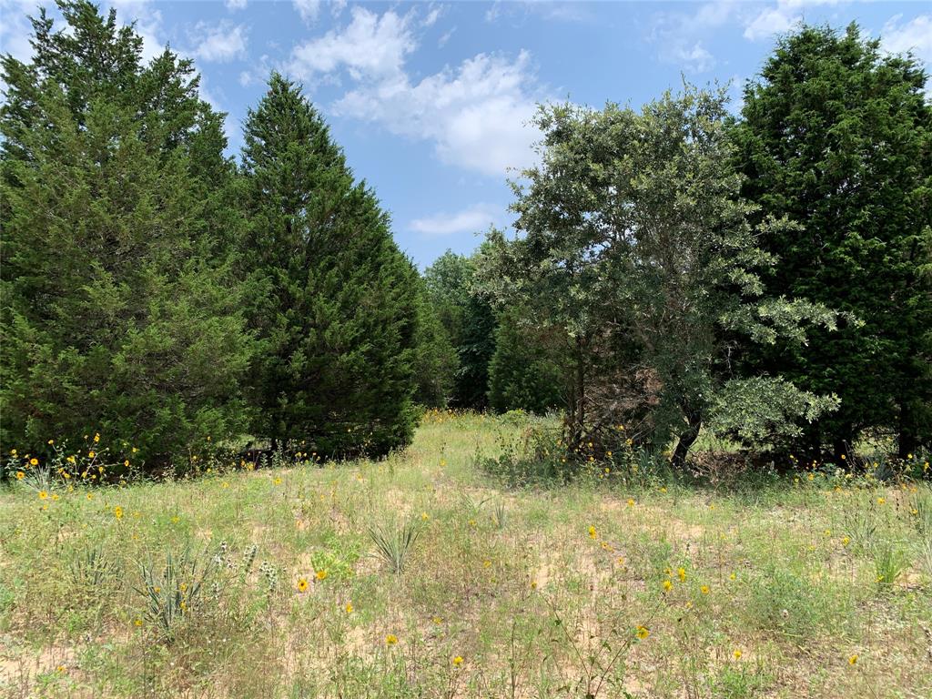 Tbd Hills Drive Property Photo 9