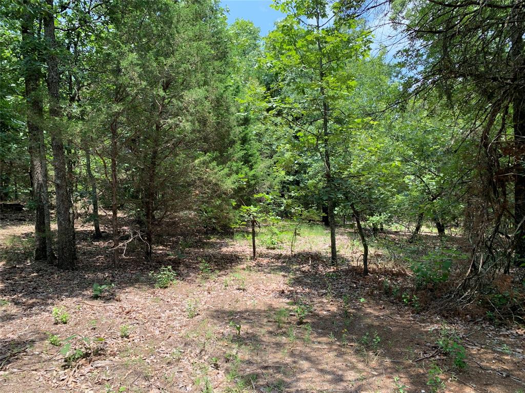 Tbd Hills Drive Property Photo 10