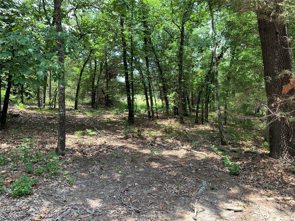 Tbd Hills Drive Property Photo 11