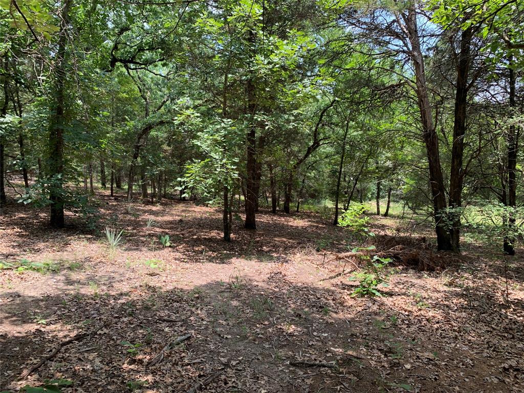 Tbd Hills Drive Property Photo 12