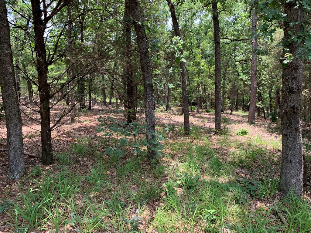 Tbd Hills Drive Property Photo 13