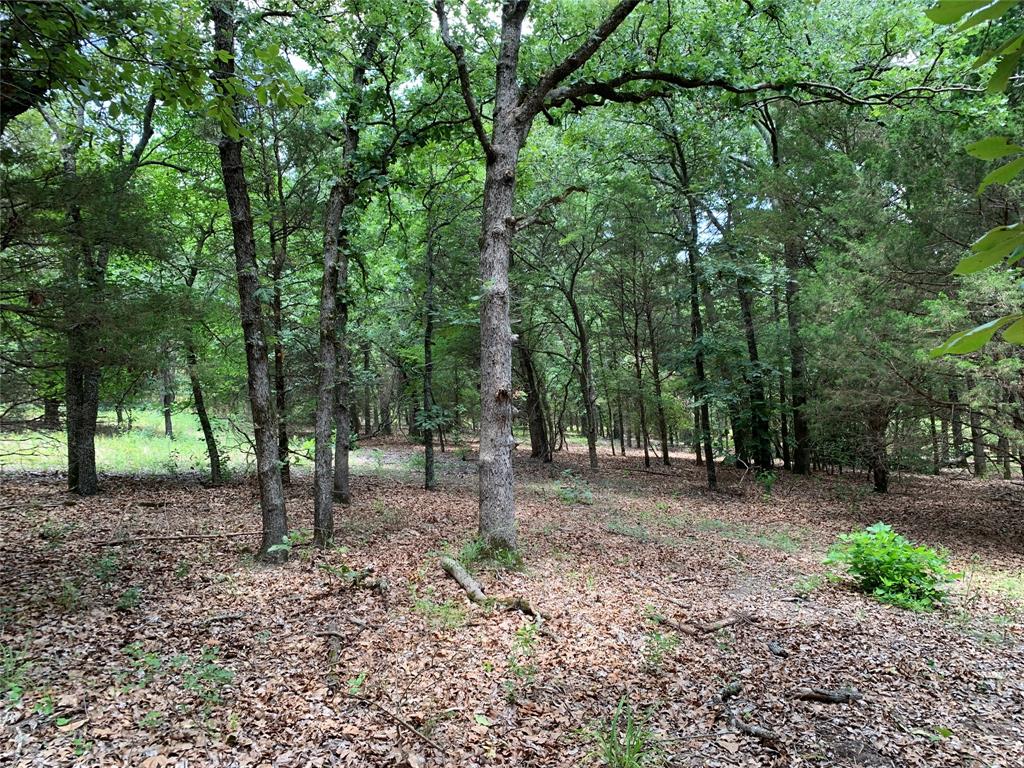 Tbd Hills Drive Property Photo 14