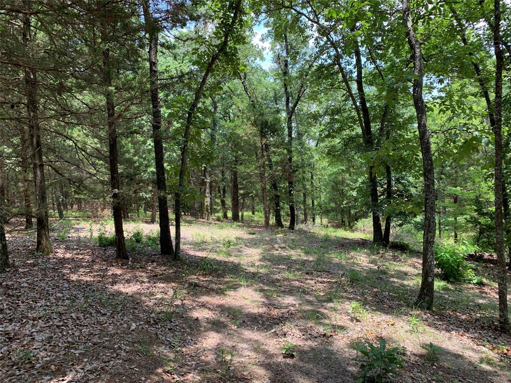 Tbd Hills Drive Property Photo 15